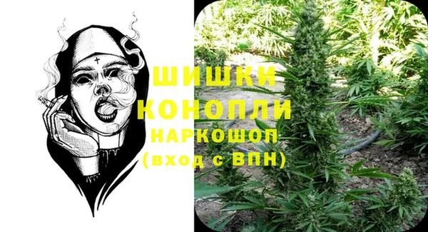 индика Красноперекопск