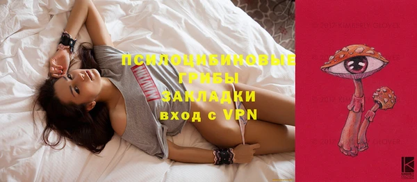 индика Красноперекопск