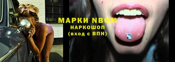 индика Красноперекопск