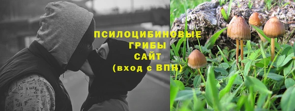 индика Красноперекопск